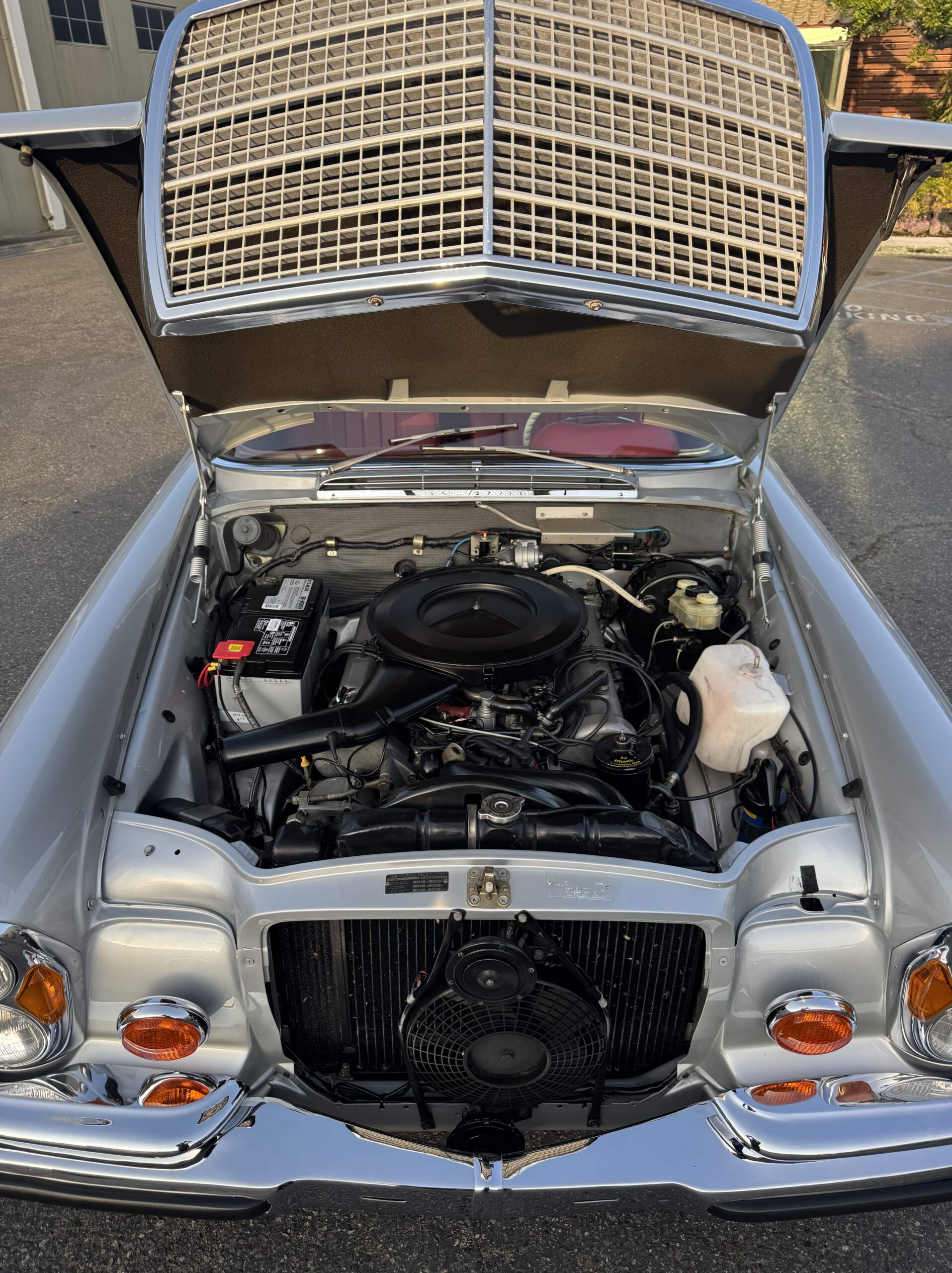 Undercarriage Steam Cleaning.